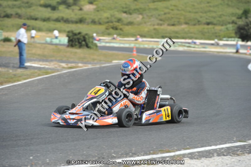 DSC (3607).JPG